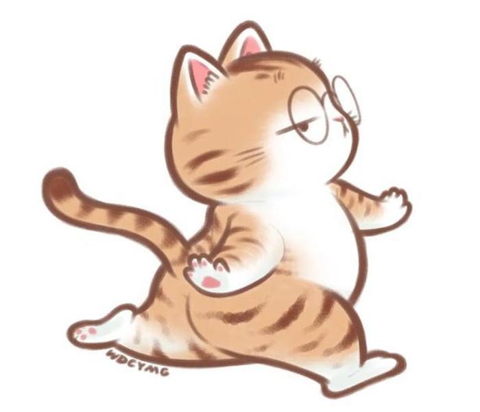 Mèo anh 34 chibi cute