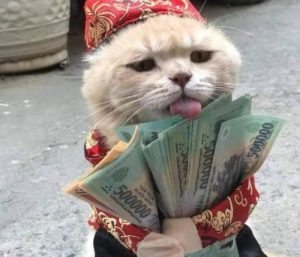 Meme mèo hài cầm tiền