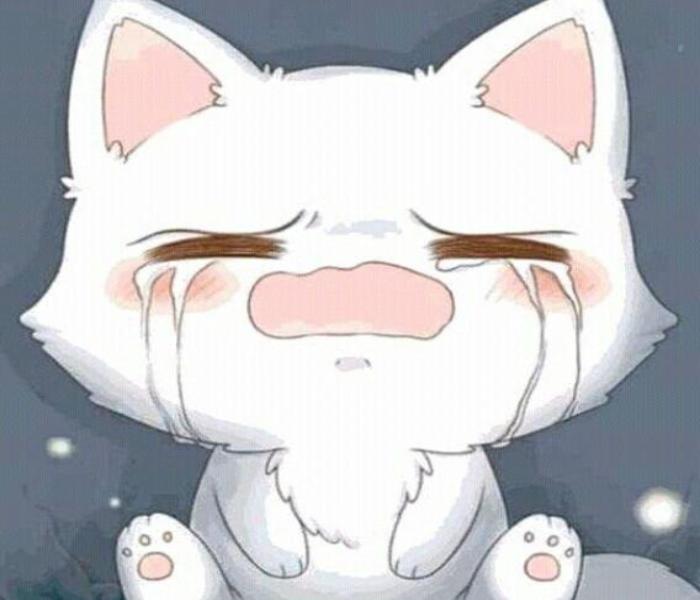 Hình chibi mèo cute xinh
