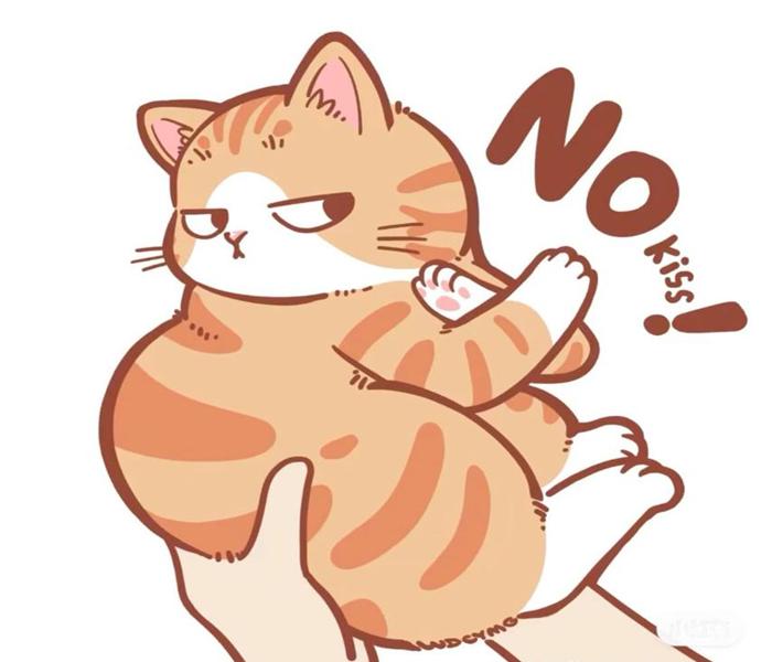 Avatar mèo béo ú chibi cute