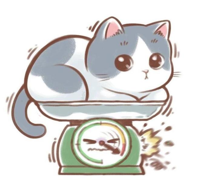 Avatar mèo mập chibi