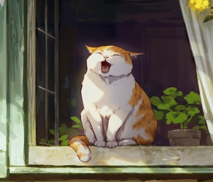 Ảnh mèo chill cute