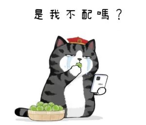 Meme mèo hoàng thượng hài