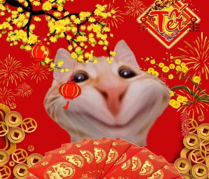 Ảnh meme mèo Tết khôi hài