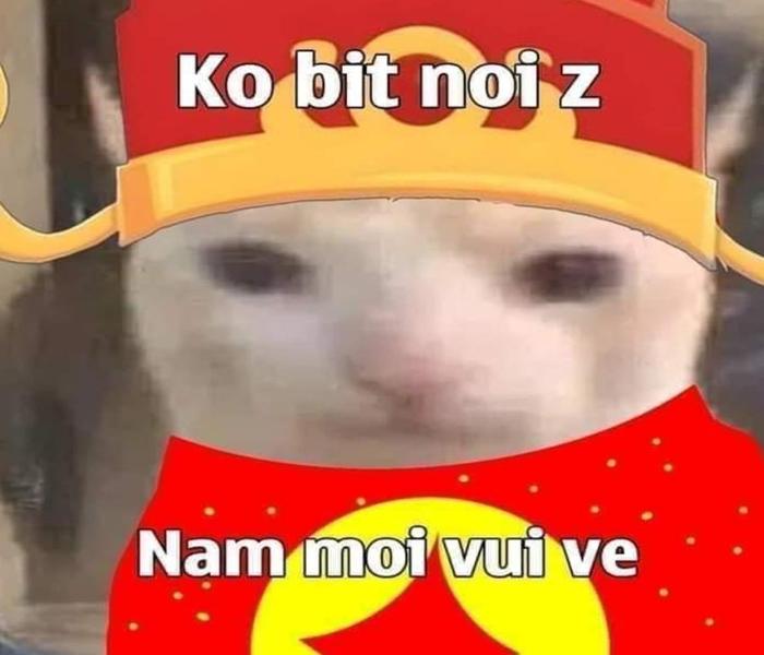 Ảnh meme mèo Tết khôi hài
