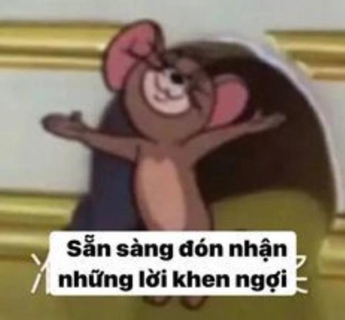 Ảnh meme Jerry khôi hài