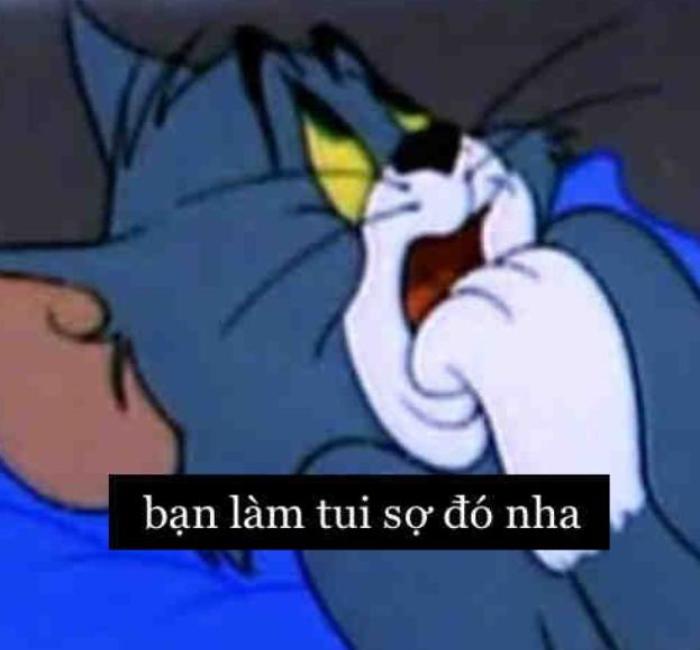 Mèo Tom meme cute