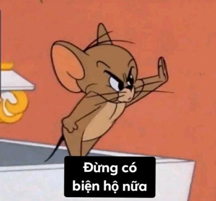 Ảnh meme Jerry khôi hài