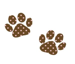 Hình dấu chân mèo cute