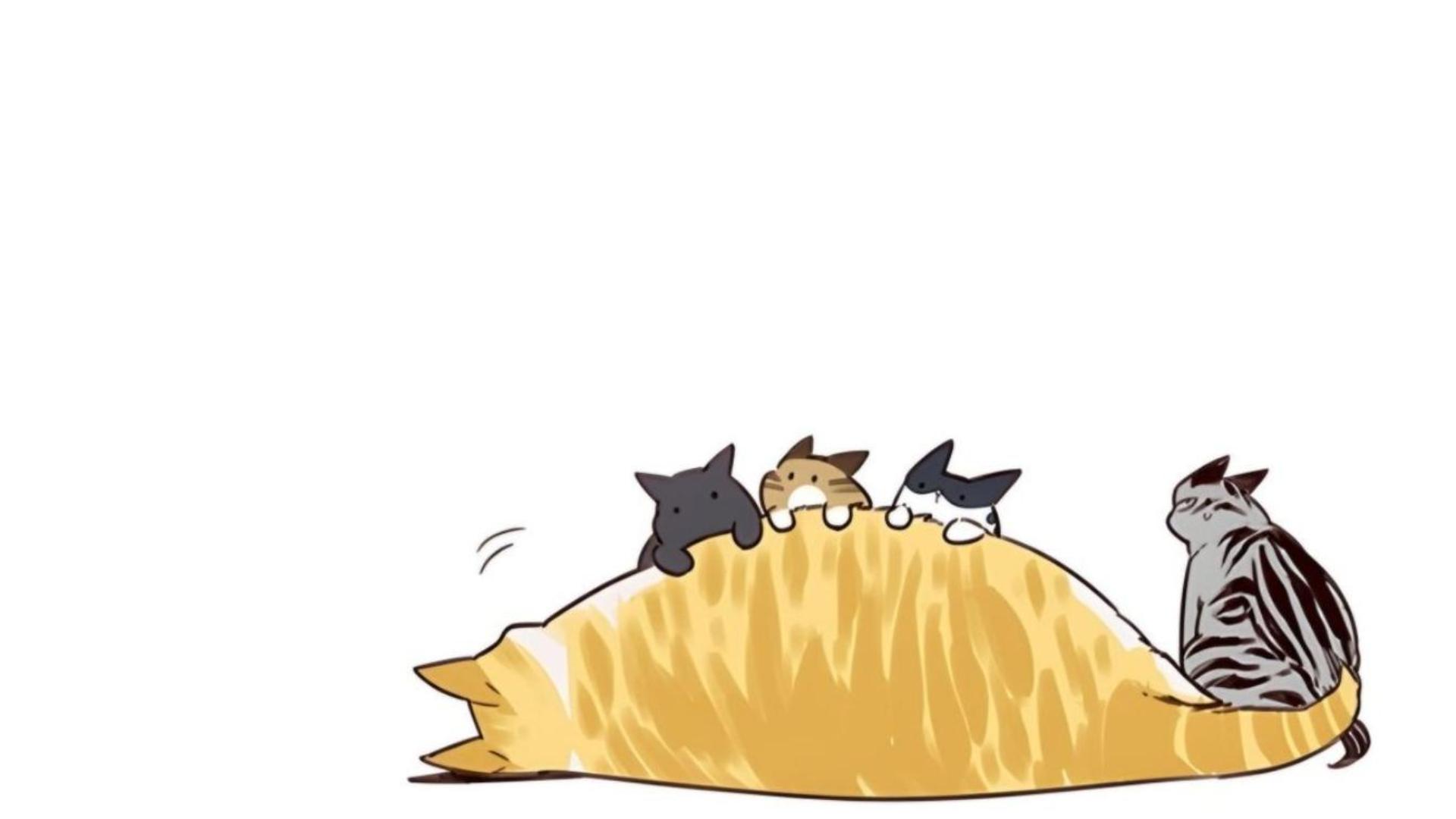 Hình nền mèo mập chibi cho máy tính xinh 